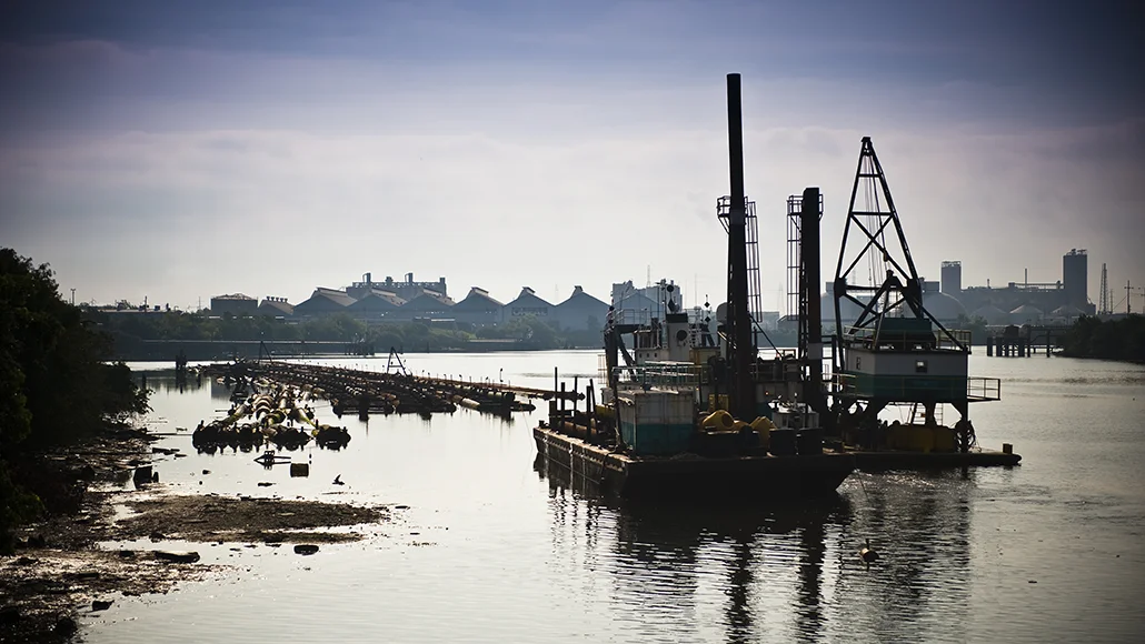 Project-11 Project 11