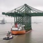 mega-STS-cranes