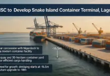 MSC Signs 45-year Snake Island Port Terminal Buildout Deal Snake Island Port Terminal